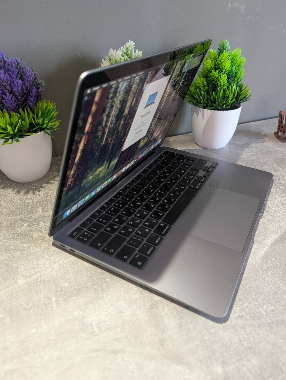 Apple MacBook Air 13" M1/8/256Gb — фото 3
