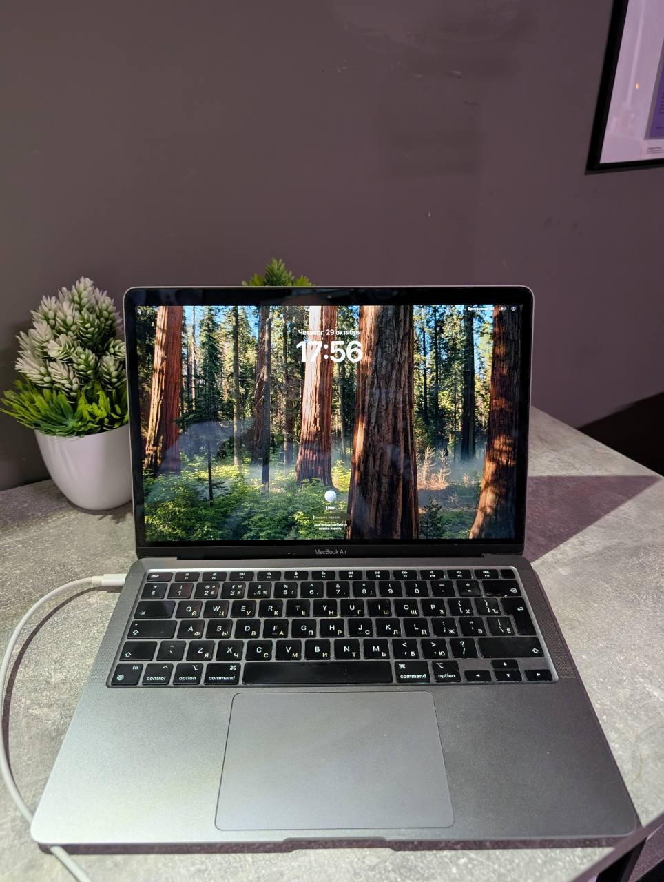 Apple MacBook Air 13" М1/16/256 SSD — фото 1